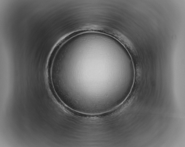 X0000112720784200908271406