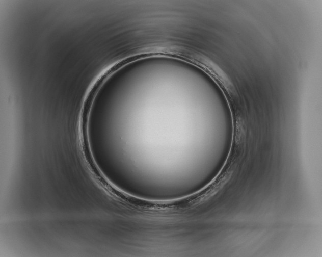 X0000112720788200908271406