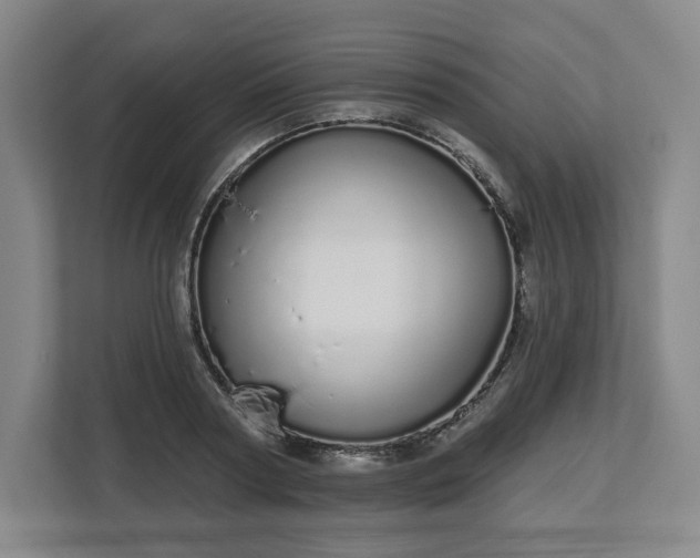 X0000112720794200908271406