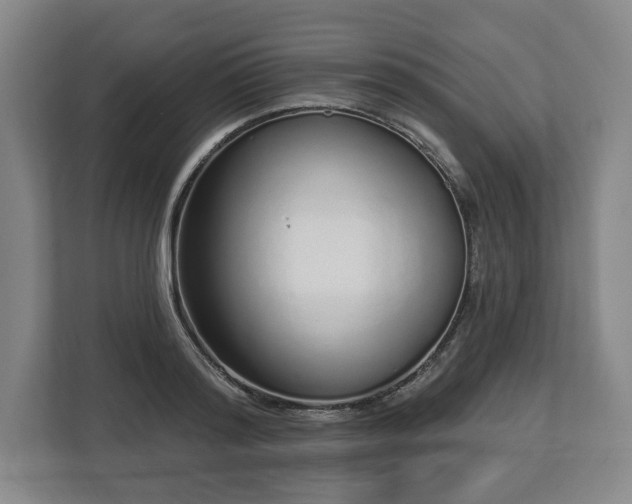 X0000112720796200908271406