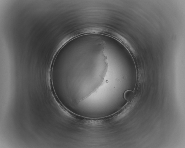 X0000112720802200908271406