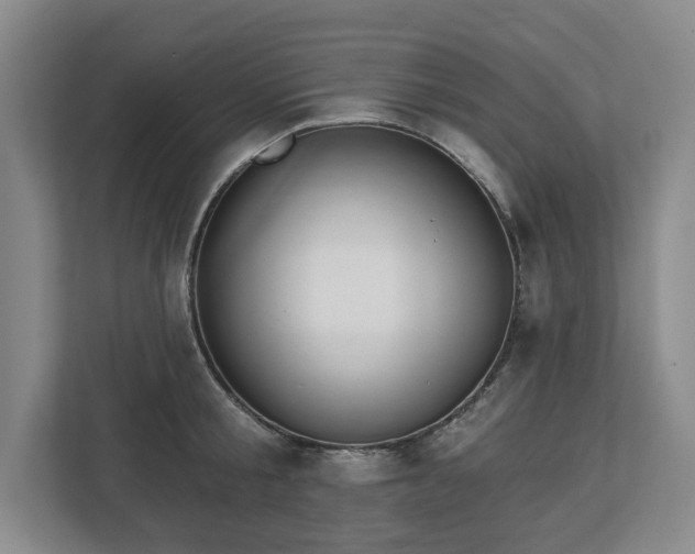 X0000112720805200908271406