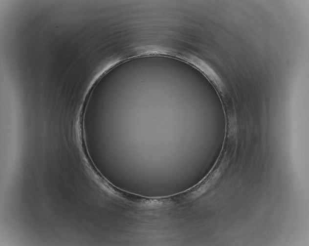 X0000112720806200908271406