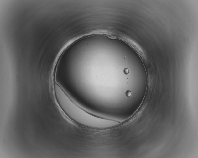 X0000112720808200908271406