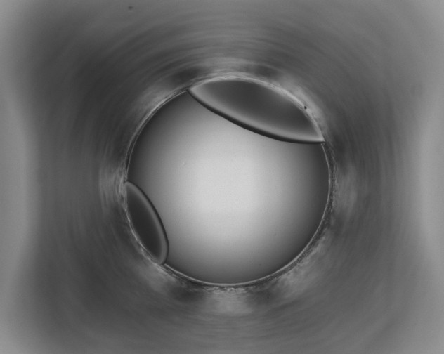 X0000112720809200908271406