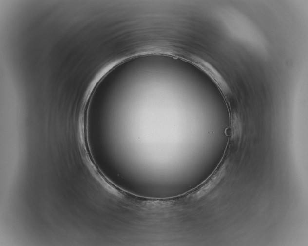 X0000112720812200908271406