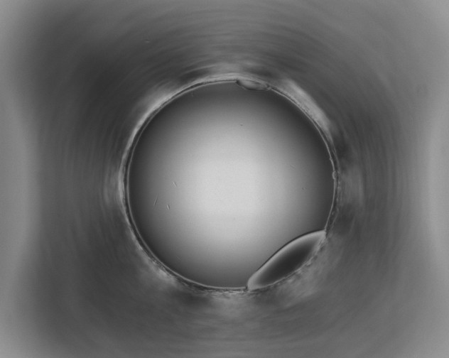 X0000112720813200908271406