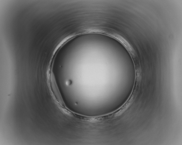 X0000112720814200908271406