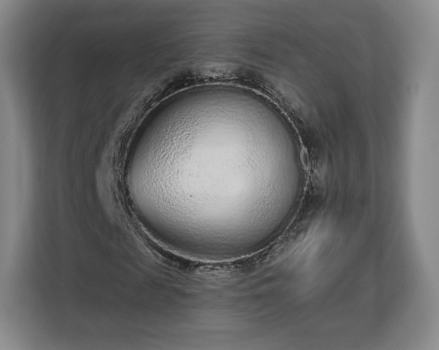 X0000112720817200908271405