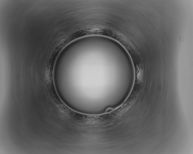 X0000112720819200908271405