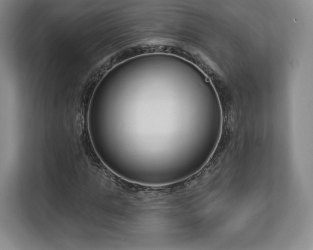 X0000112720821200908271405