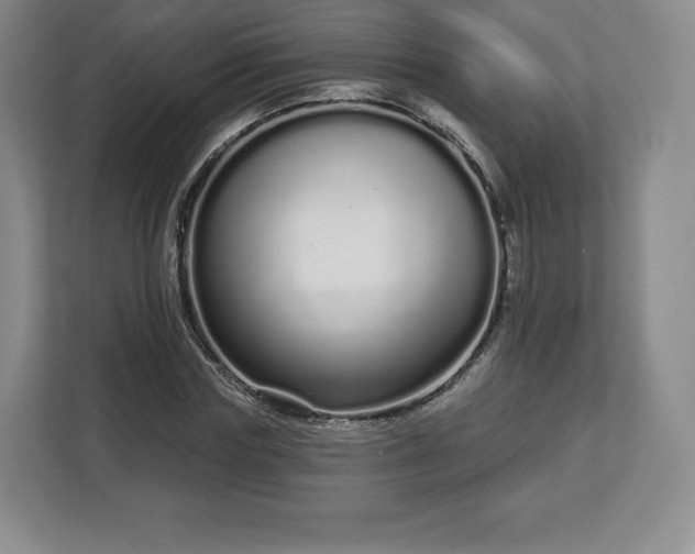 X0000112720827200908271405