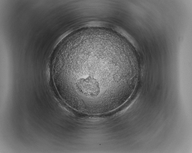 X0000112720829200908271405