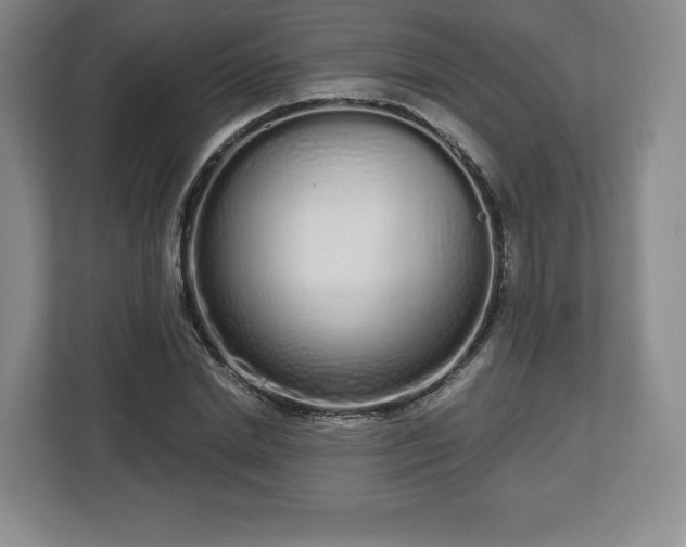 X0000112720830200908271405