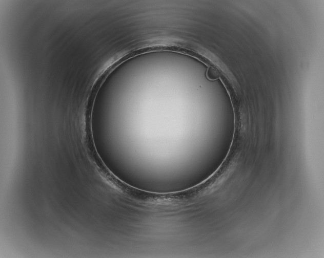 X0000112720834200908271405