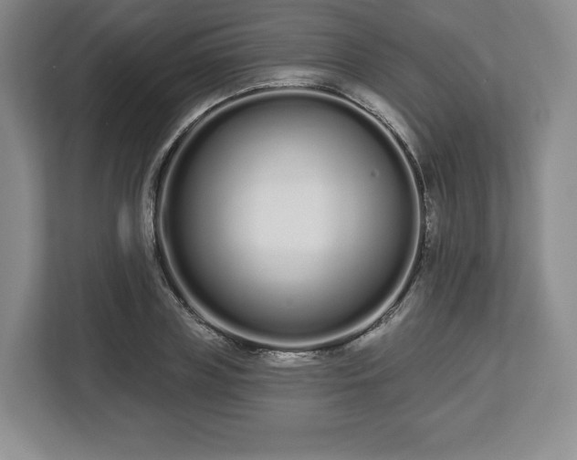 X0000112720835200908271405