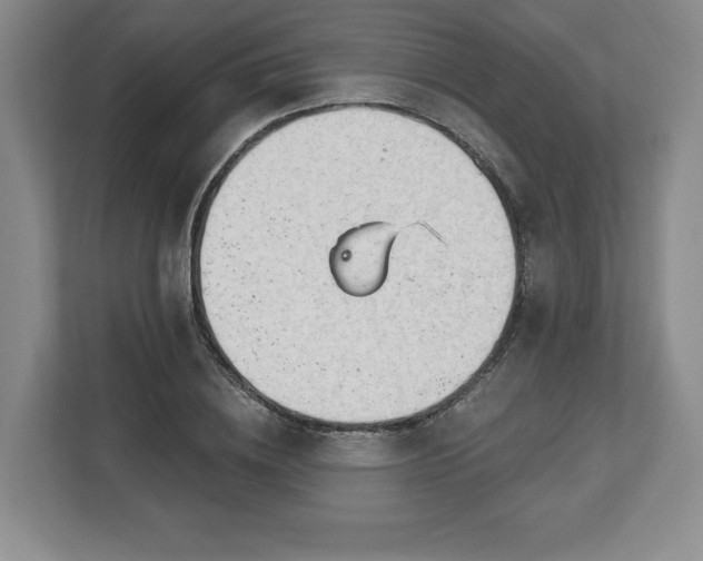 X0000112720836200908271405