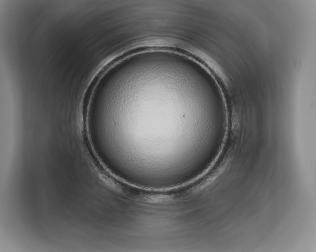 X0000112720837200908271405