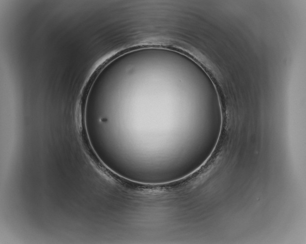 X0000112720838200908271405