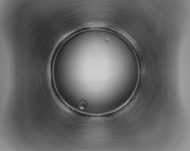 X0000112720840200908271405