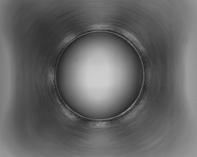 X0000112720841200908271405