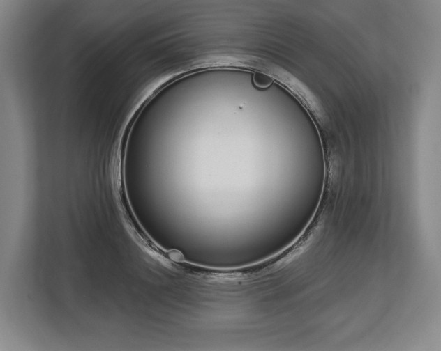 X0000112720844200908271405