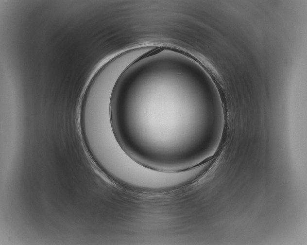 X0000112720846200908271405