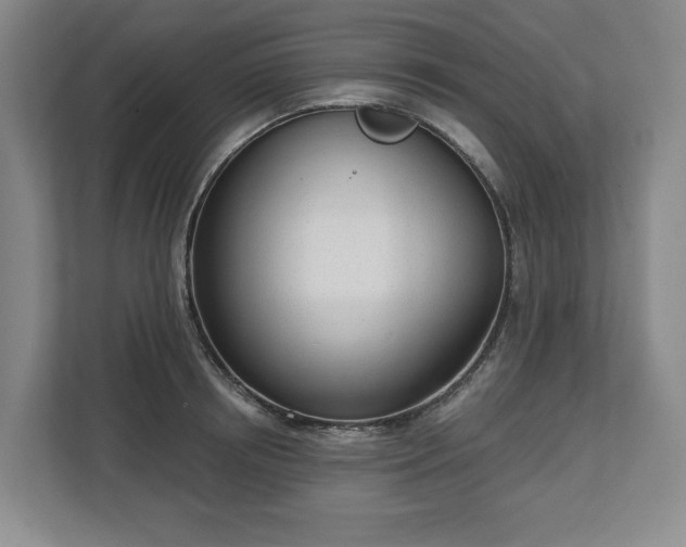 X0000112720850200908271405