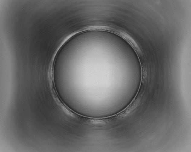 X0000112720852200908271405