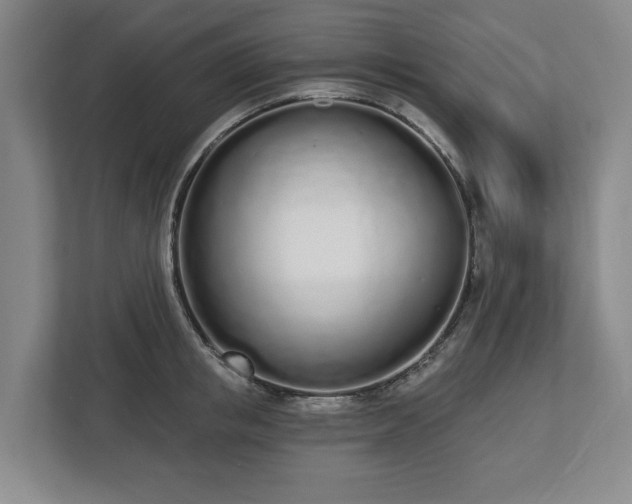 X0000112720853200908271405