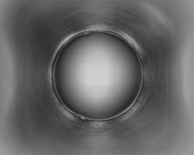 X0000112720854200908271405