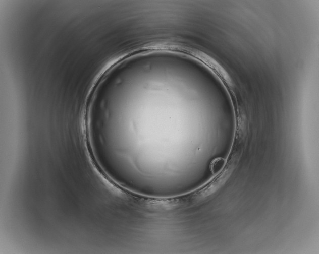 X0000112720855200908271406