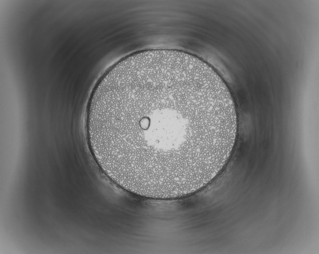 X0000112720856200908271406