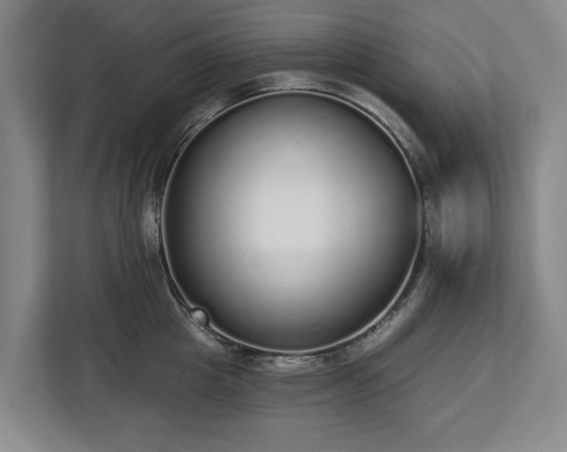 X0000112720857200908271406