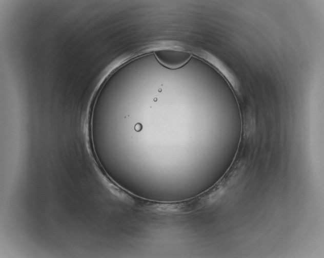 X0000112720861200908271406