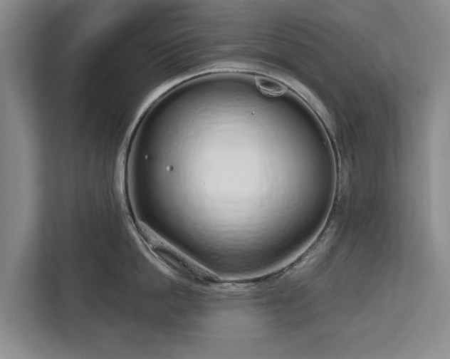 X0000112720862200908271406