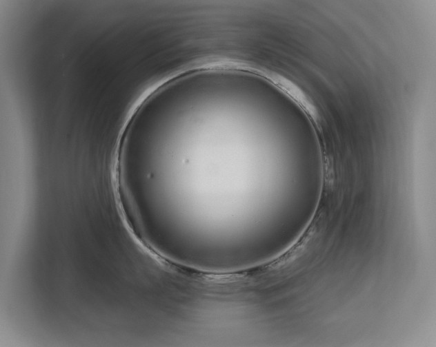 X0000112720863200908271406