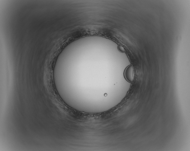 X0000112720865200908271405