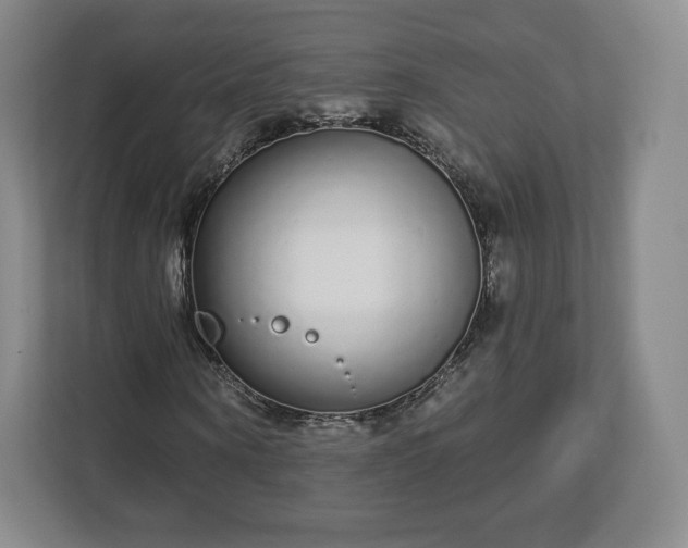 X0000112720866200908271405