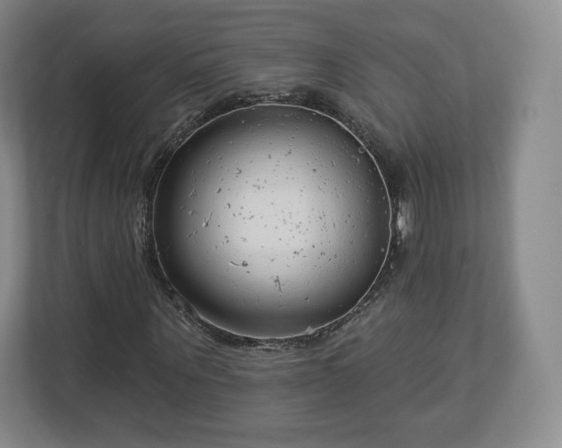 X0000112720867200908271405