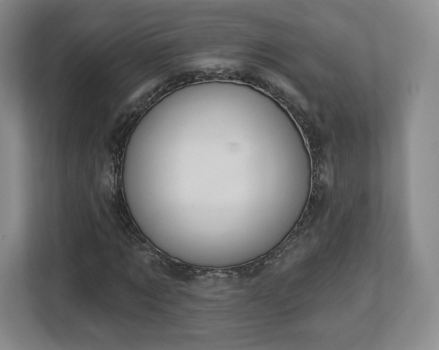 X0000112720869200908271405