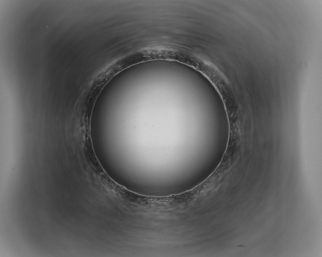 X0000112720870200908271405