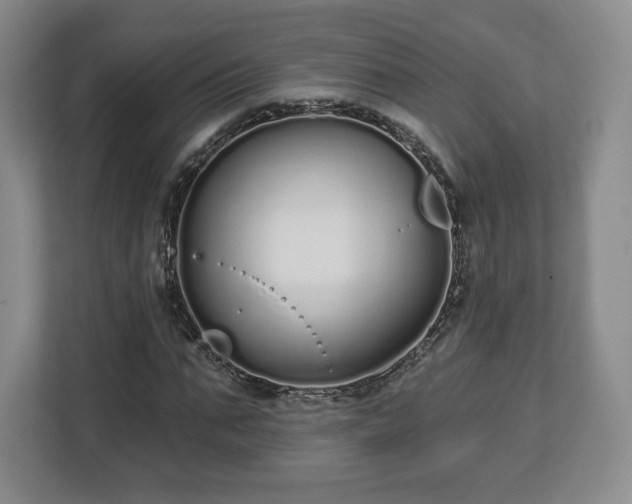 X0000112720871200908271405