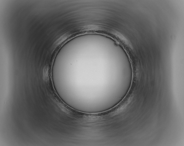 X0000112720873200908271405