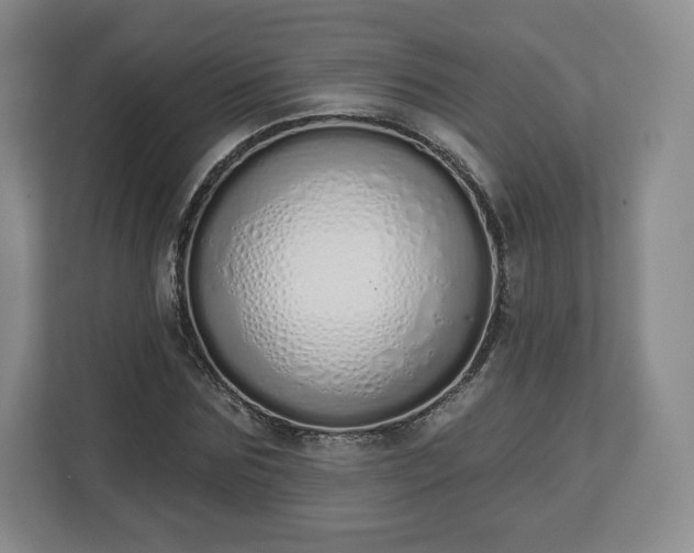 X0000112720875200908271405