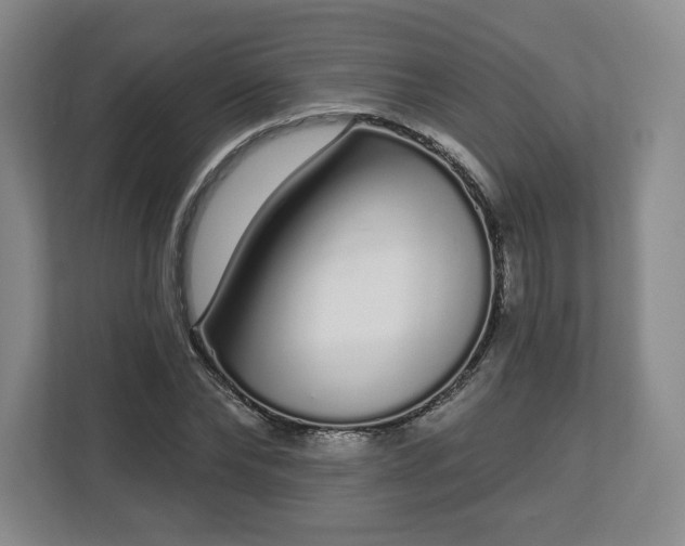 X0000112720878200908271405