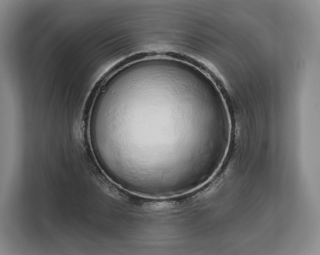 X0000112720879200908271405