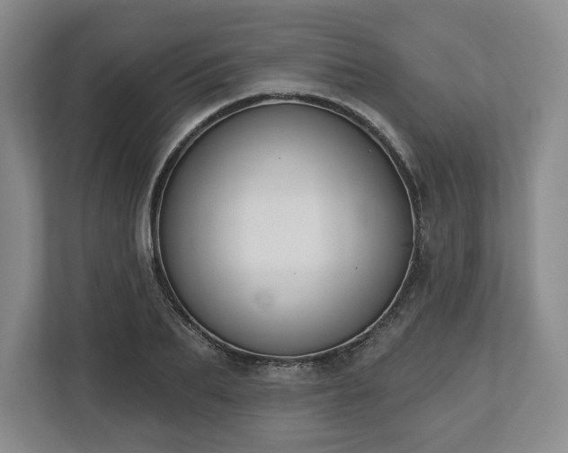 X0000112720887200908271405