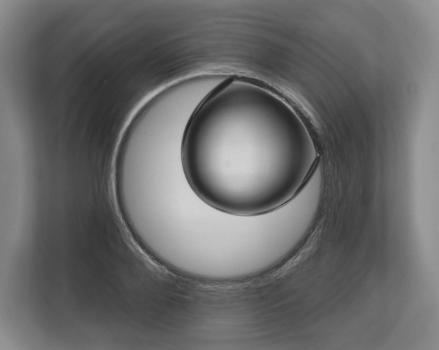 X0000112720888200908271405