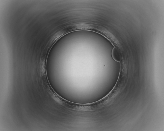 X0000112720889200908271405